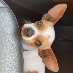 Meet your Posher, Kat